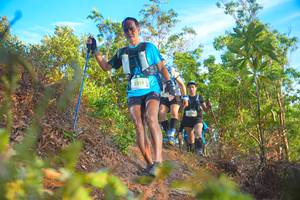 BIB: 2518
                            <button type="button" onclick="openModal(21837370)" class="btn btn-primary btn-sm float-right btn-popup" data-toggle="modal" data-target=".modal-high-quality">
                        <i class="fas fa-shopping-cart"></i> Add to Cart
                    </button>
                                            <button type="button" onclick="isThisMe(21837370, true)" class="btn btn-success btn-sm float-right btn-popup btn-isme hidden" data-toggle="tooltip" data-placement="bottom" title="นี่คือรูปของคุณใช่ไหม คลิกที่นี่เพื่อเอาเข้าอัลบั้ม">
                        <i class="fas fa-plus"></i> Add to album
                    </button>
                    <button type="button" onclick="isThisMe(21837370, false)" class="btn btn-warning btn-sm float-right btn-popup btn-isnotme hidden">
                        <i class="fas fa-ban"></i> Remove from album
                    </button>